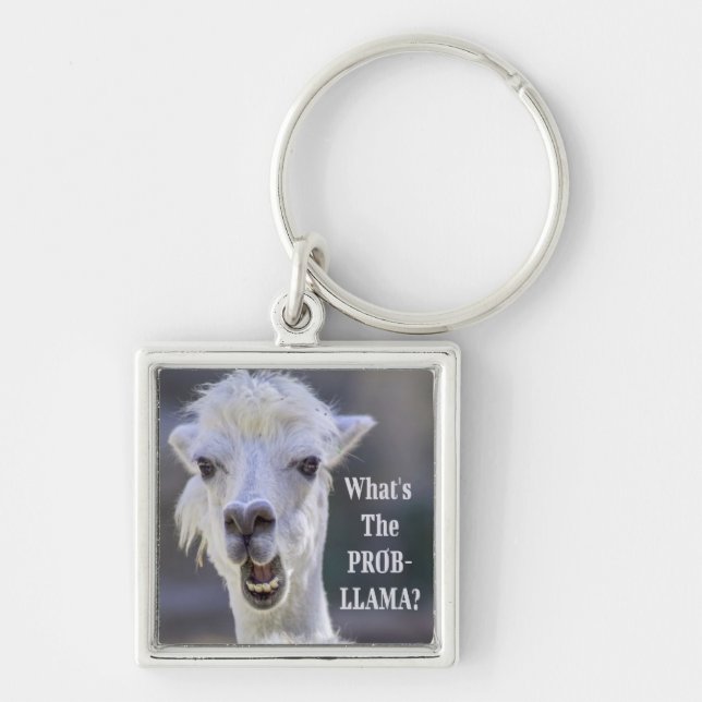 Chaveiro O que é o Prob-Llama? LLAMA, Custa Engraçado (Frente)