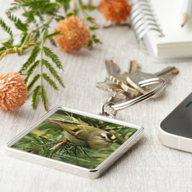 Chaveiro O sabiá-lo causa agitação no fogo (Lateral)