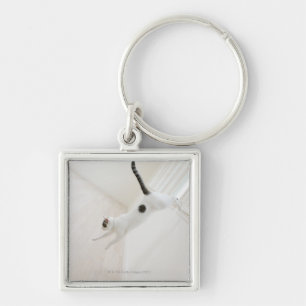 Chaveiro O salto do gato