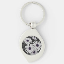 O Sutil Contraste da Natureza