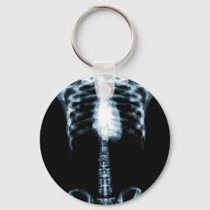 CHAVEIRO O TORSO DE ESQUELETO DO RAIO X MARCA O AZUL