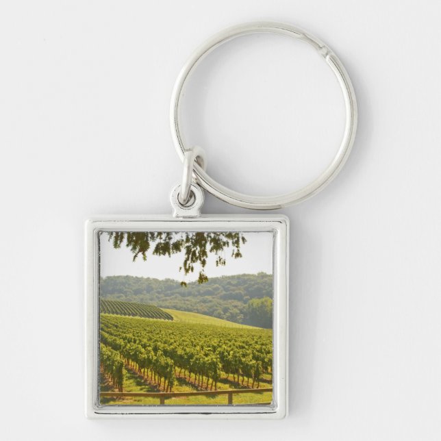 Chaveiro O vinhedo e um vale com uma floresta - (Frente)