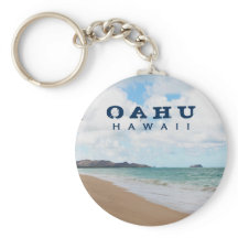 Oahu Hawaii Ocean Waves & Beach