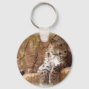 Chaveiro observador do leopardo