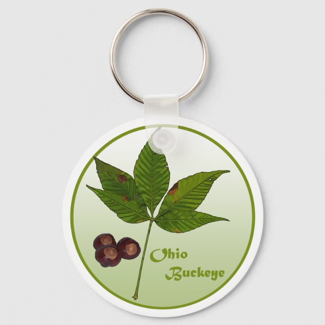 Chaveiro Ohio Buckeye Tree (Frente)