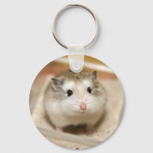 Chaveiro Olho de hamster bebê