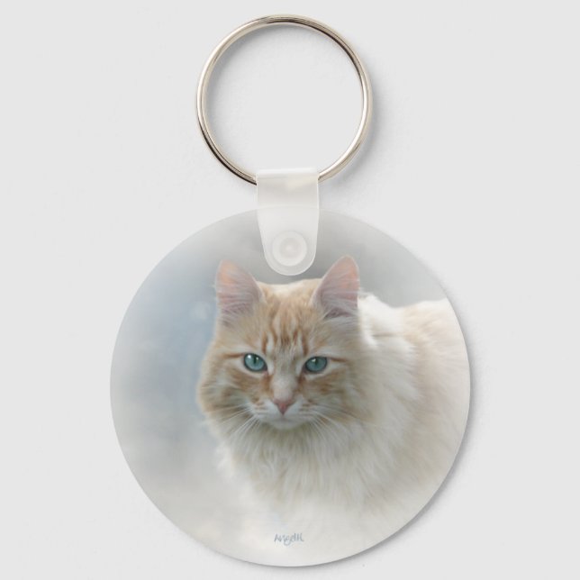 Chaveiro Olhos Brilhantes AH2010 (Frente)