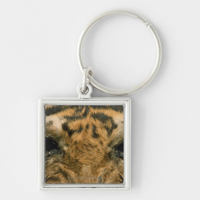 Chaveiro Olhos do tigre (Frente)