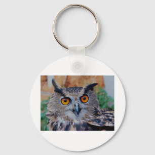 CHAVEIRO OLHOS LINDOS DA CORUJA