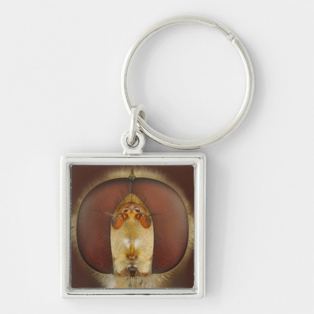 Chaveiro Olhos principais e compostos de uma mosca do pairo (Frente)