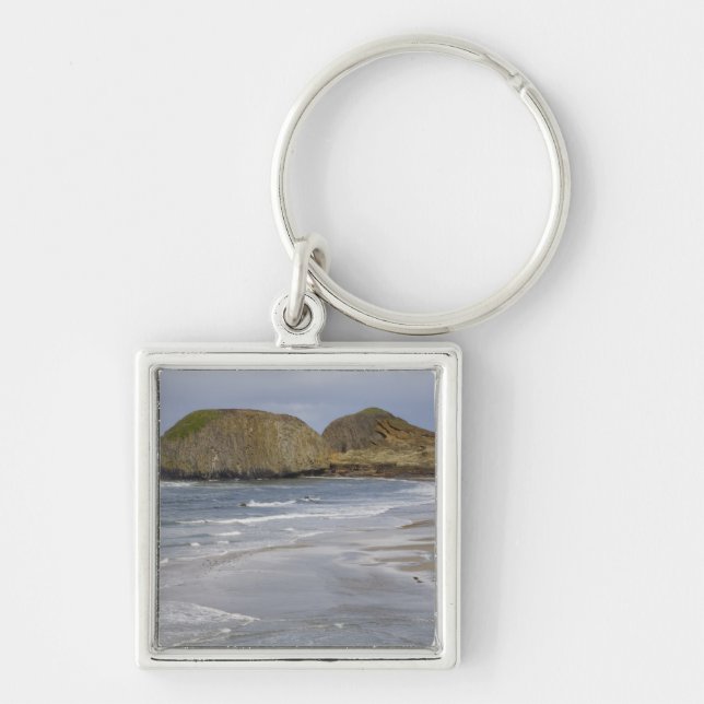 Chaveiro OR, Costa do Oregon, Parque Estadual Seal Rock, (Frente)