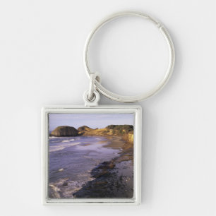 Chaveiro OR, Oregon Coast, Newport, costa no Selo