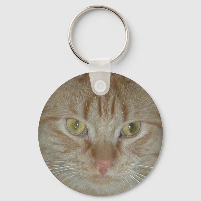 Chaveiro Orange Tabby Cat (Frente)