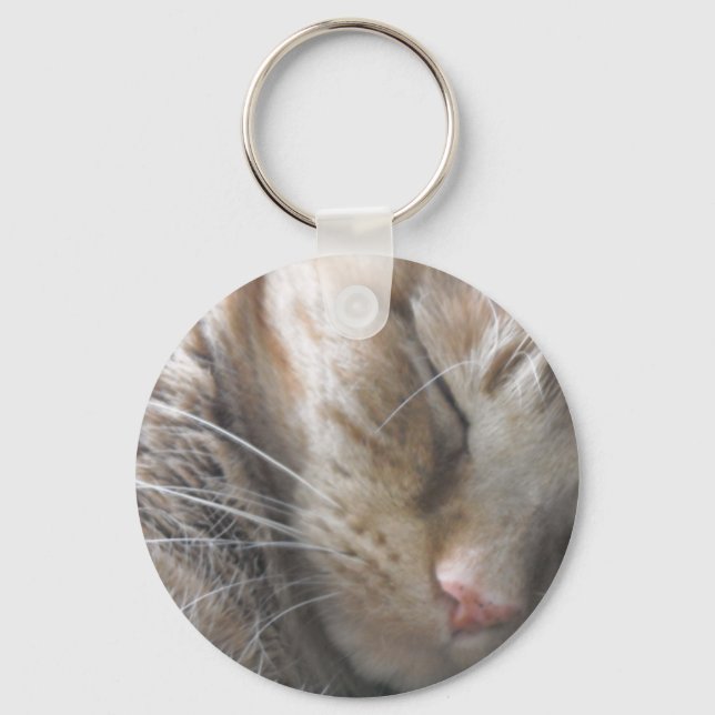 Chaveiro Orange Tabby Cat (Frente)