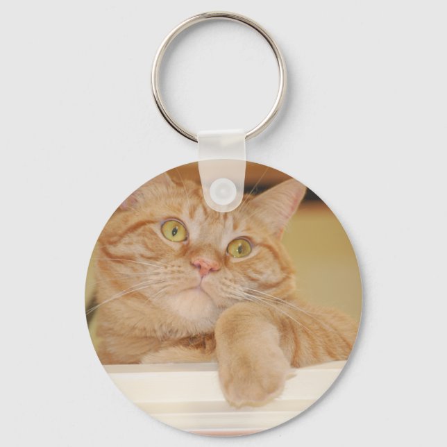 Chaveiro Orange Tabby Cat (Frente)