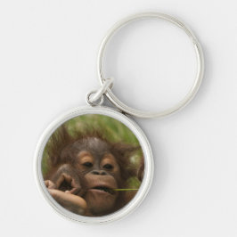 Chaveiro Orangutan Baby