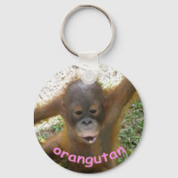 Orangutan RainForest Snack