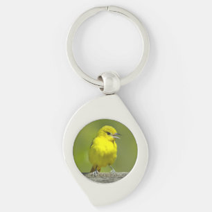 Chaveiro Orchard Oriole - Fotografia Original