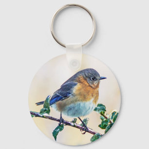 Chaveiro oriental do Bluebird