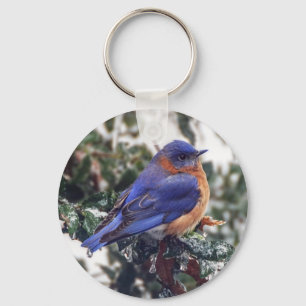 Chaveiro oriental do Bluebird