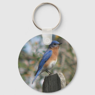 Chaveiro oriental do homem do Bluebird