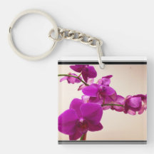 Orquídea rosa