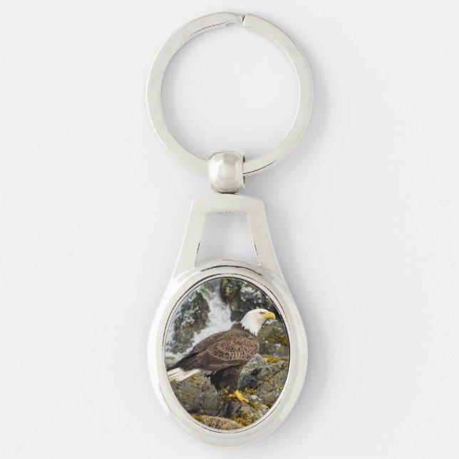 Chaveiro Ortod Bald Eagle (Frente)