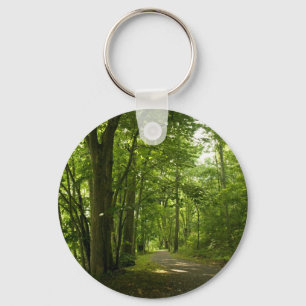 Chaveiro Osceloa Island Weir Dam Bristol Tennessee