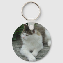 Chaveiro ou Keyring - Maine Coon Cat Image 1