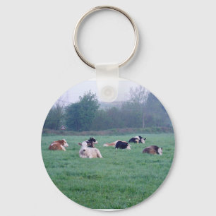 Chaveiro ou teclado - Vacas - em cor