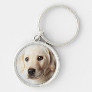Chaveiro Ouro Labrador Puppy