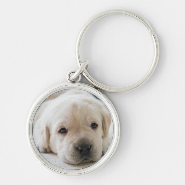 Chaveiro Ouro Sonolento Labrador Puppy (Frente)