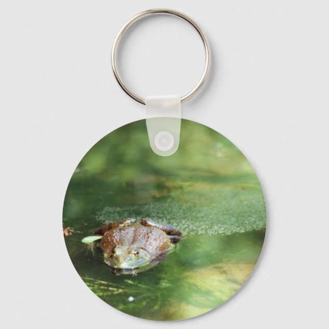 Chaveiro Ovos Para Colagem De Rãs De Bolso (Frente)