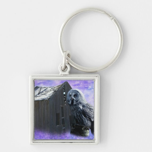 Chaveiro Owl Barn Shed (Frente)