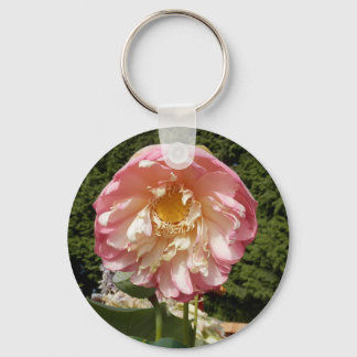 CHAVEIRO P7220107.JPG