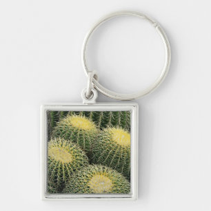 Chaveiro Padrão de Cacto