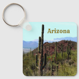 Chaveiro paisagem montanhosa do saguaro do Arizona
