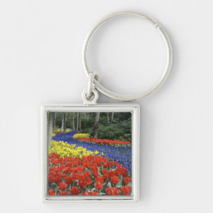 Chaveiro Países Baixos, Holanda, Lisse, Jardins Keukenhof