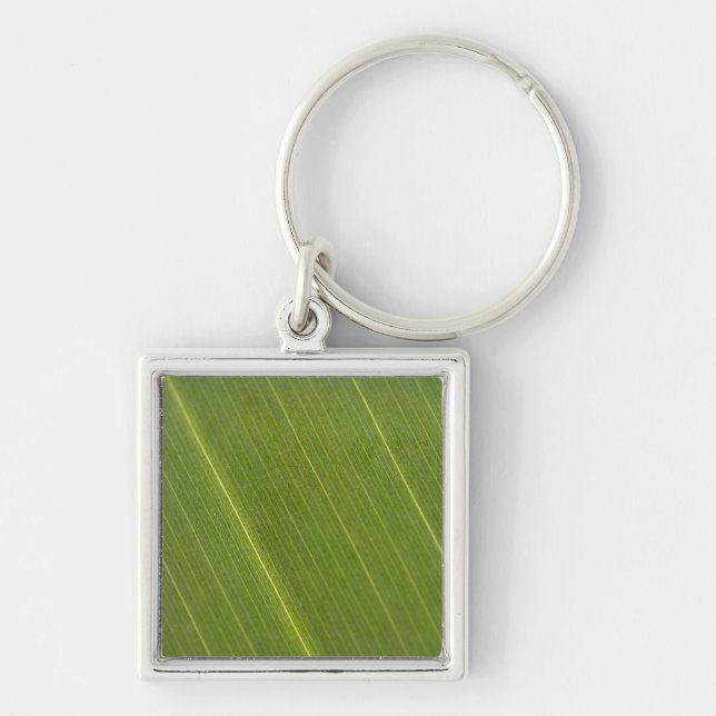 Chaveiro Palm Tree Leaf (Frente)