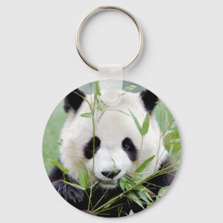 Chaveiro Panda gigante chaveiro. Panda geant.