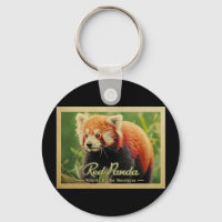 Panda Vermelha - Vida Selvagem Dos Himalaias