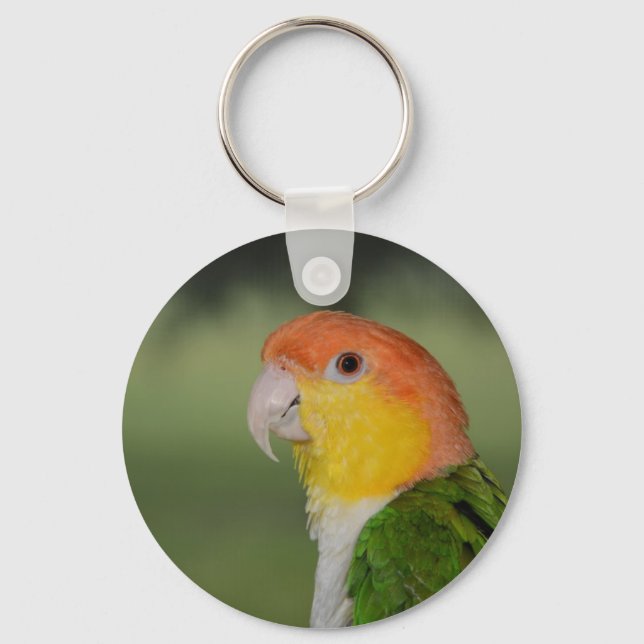 Chaveiro Papagaio Caique Branco Abaixo ao ar livre (Frente)