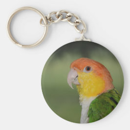 Chaveiro Papagaio Caique Branco Abaixo ao ar livre