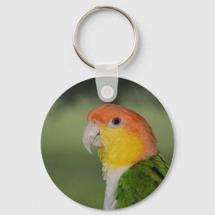 Chaveiro Papagaio inchado branco do Caique fora