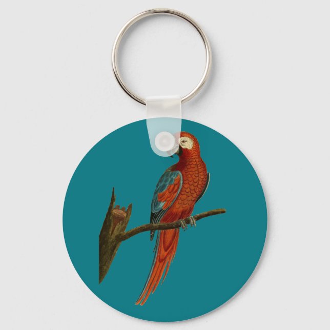 Chaveiro Papagaio vermelho de Ara (Frente)