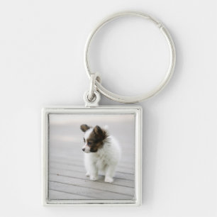Chaveiro Papillon