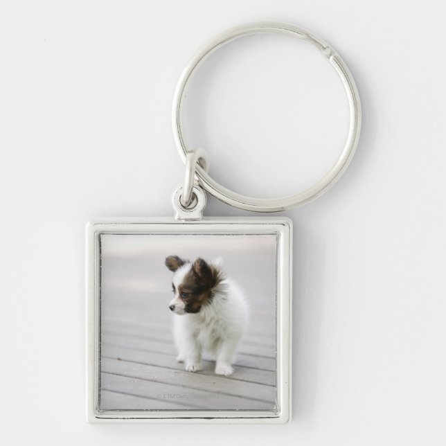 Chaveiro Papillon (Frente)