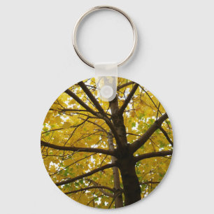 Chaveiro Par de Árvores de Bordo Amarelas Natureza de Outon