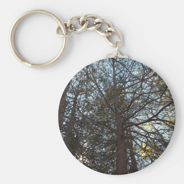 Chaveiro Para cima através das filiais (Frente)