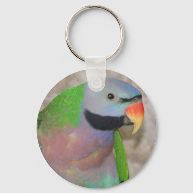 Chaveiro Parakeet de Mustached (Frente)